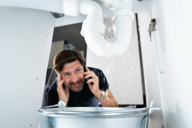 Best Leak Detection Services  in Lake Elmo, MN