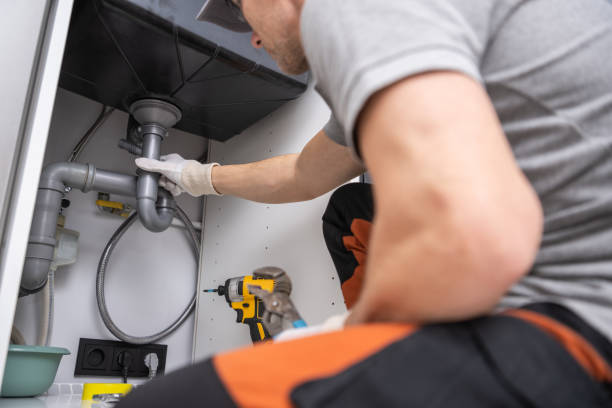 Best Clogged Drain Plumber  in Lake Elmo, MN