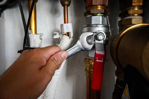 Best Faucet Repair  in Lake Elmo, MN